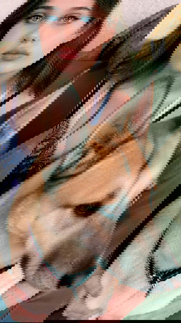 liashaked liashaked archive image