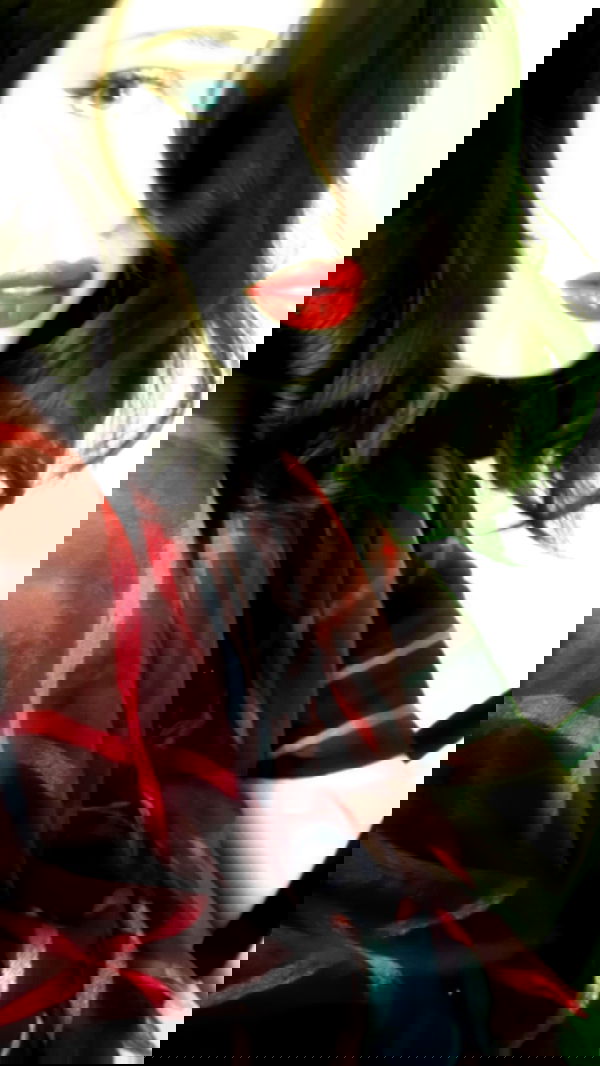 liashaked liashaked archive image