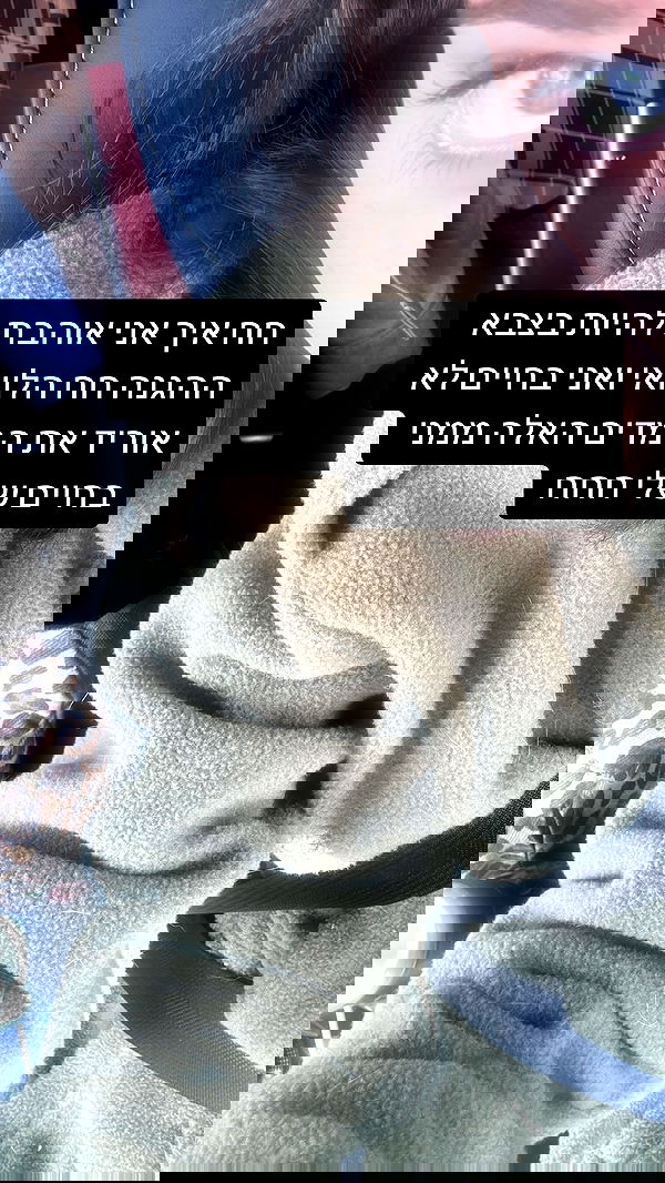 liashaked liashaked archive image