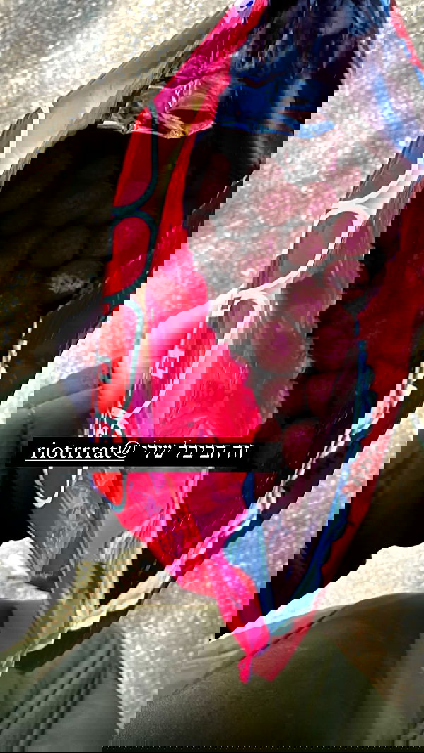 liashaked liashaked archive image