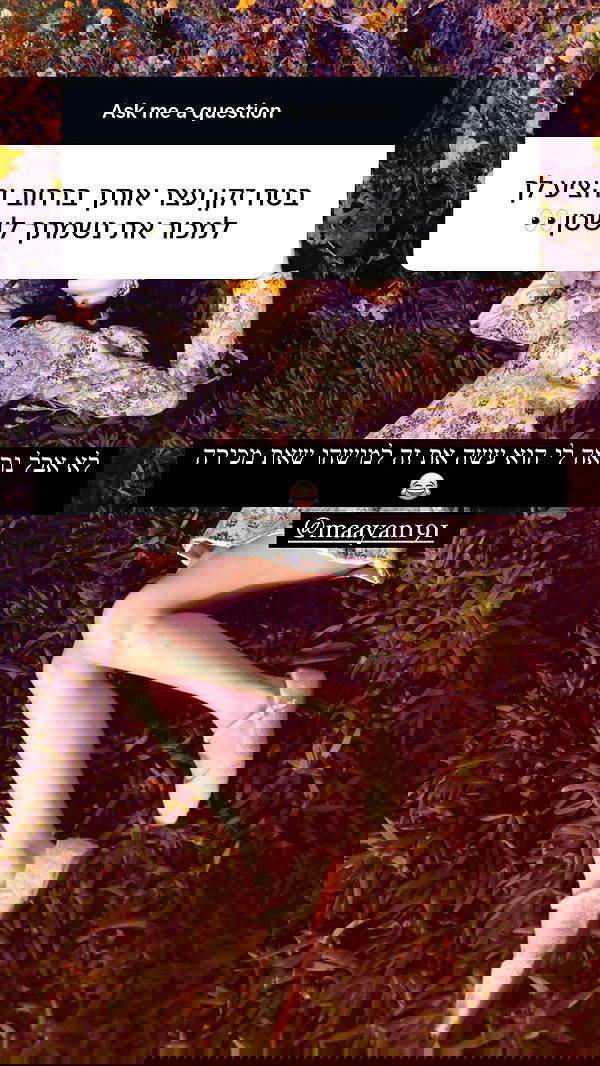 liashaked liashaked archive image