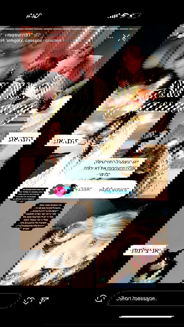 liashaked liashaked archive image