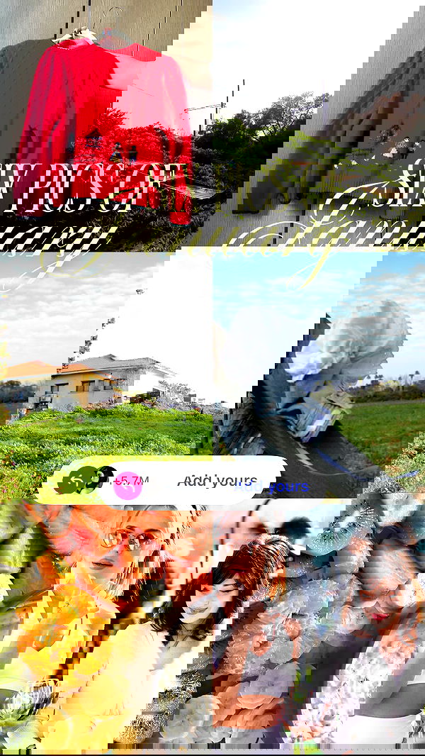 liashaked liashaked archive image