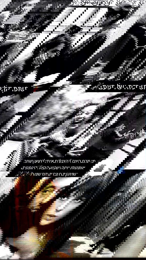 liashaked liashaked archive image