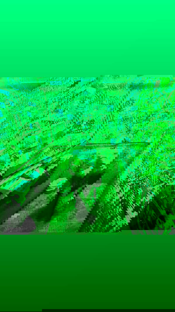 liashaked liashaked archive image