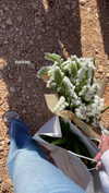 liel.b.d Altpins Profile Picture
