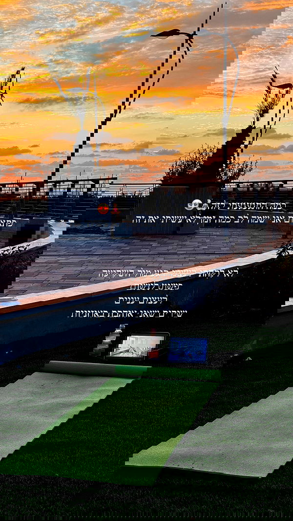 lielmazor_ image ~ Altpins