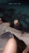 liem_sadan Altpins Profile Picture