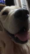 liem_sadan Altpins Profile Picture