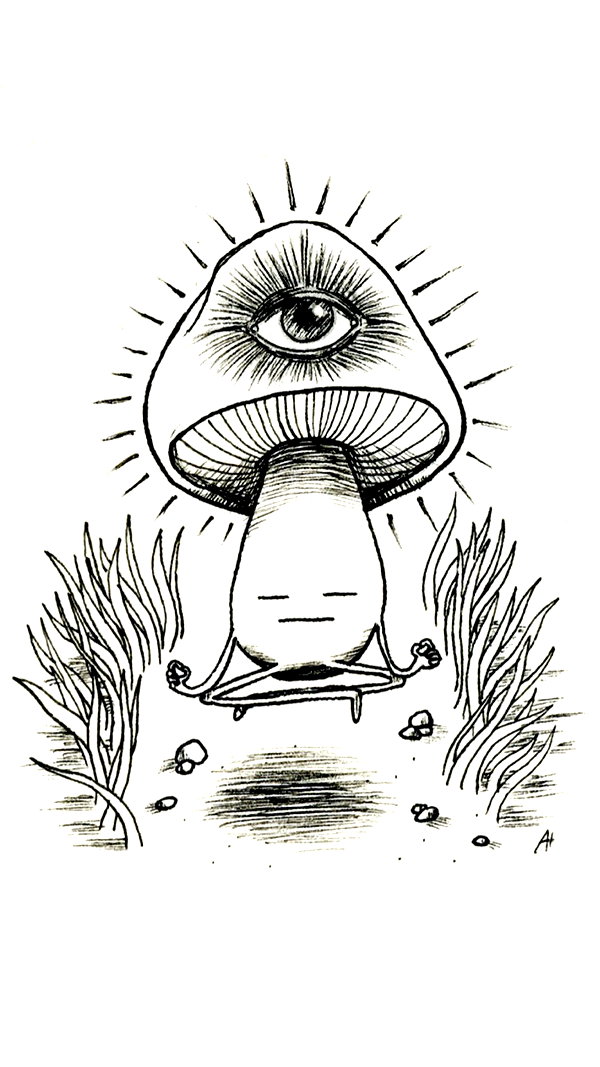 liem_sadan liem_sadan archive image