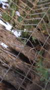 liem_sadan Altpins Profile Picture