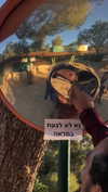 liem_sadan Altpins Profile Picture