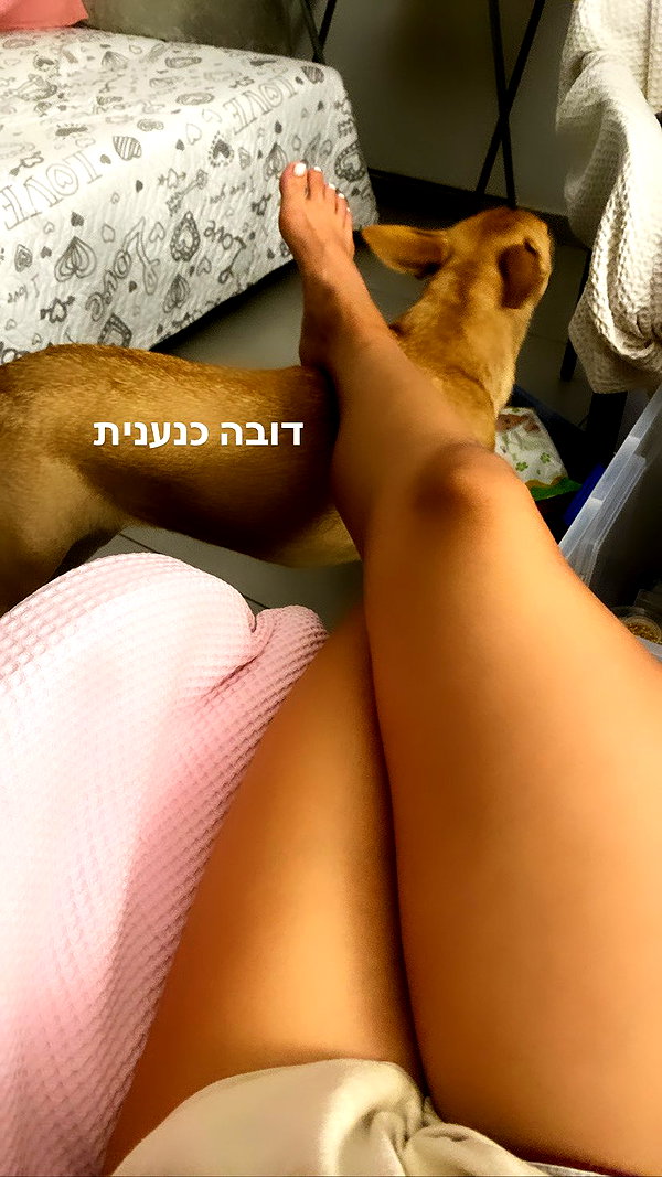 liem_sadan liem_sadan archive image