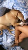 liem_sadan Altpins Profile Picture
