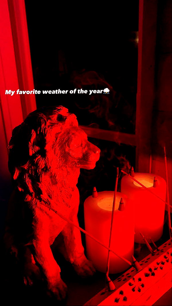 liiuuar instagram image archive image