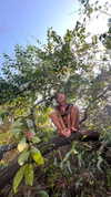 liiuuar Altpins Profile Picture