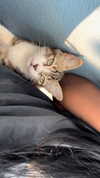 liiuuar Altpins Profile Picture