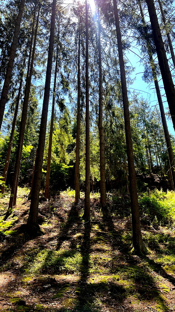 liiuuar instagram image archive image