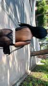 liiuuar Altpins Profile Picture