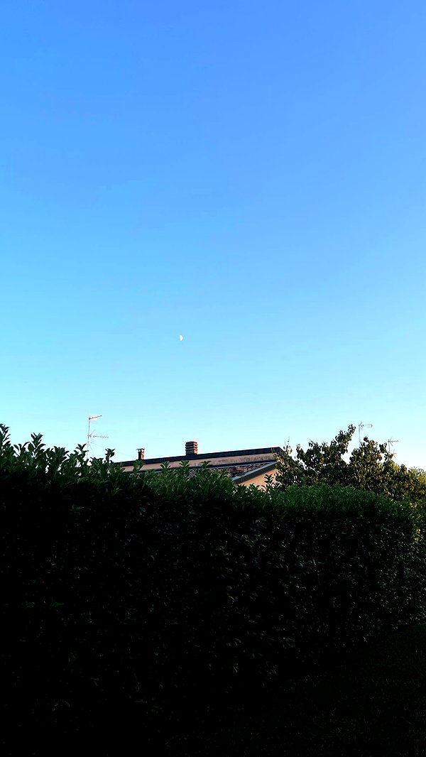 liiuuar instagram image archive image