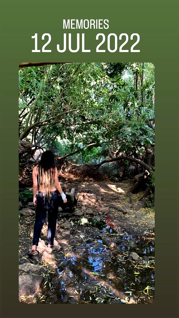 liiuuar instagram image archive image