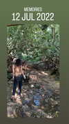 liiuuar Altpins Profile Picture