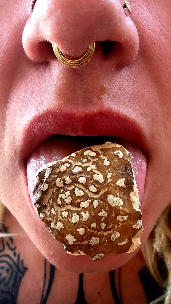 liiuuar instagram image archive image