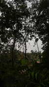 liiuuar Altpins Profile Picture