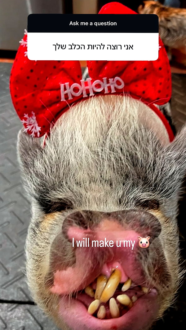 liiuuar instagram image archive image