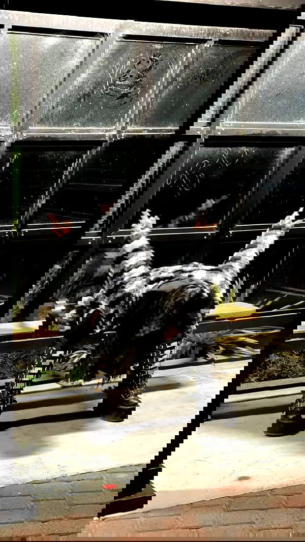 lilith.hecate lilith.hecate archive image