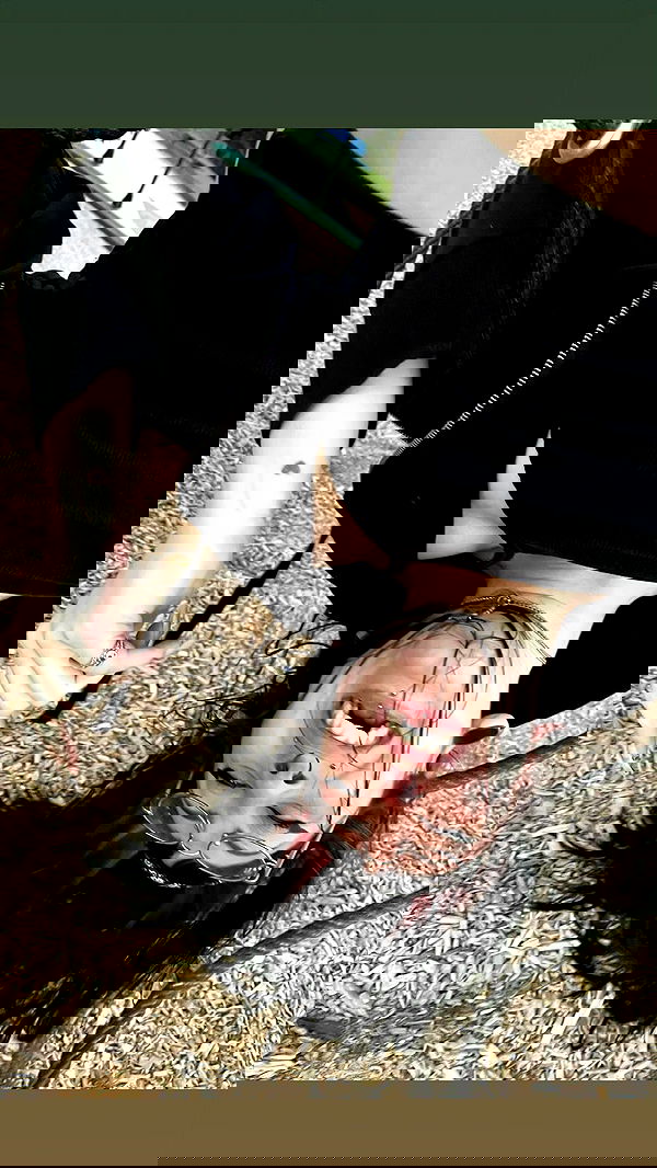 lilith.hecate lilith.hecate archive image