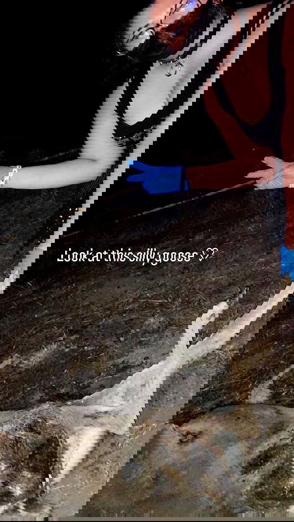 lilith.hecate lilith.hecate archive image