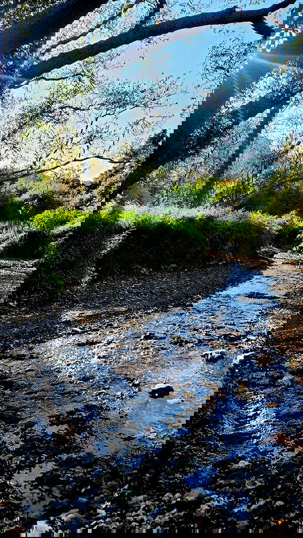 lilith.hecate lilith.hecate archive image