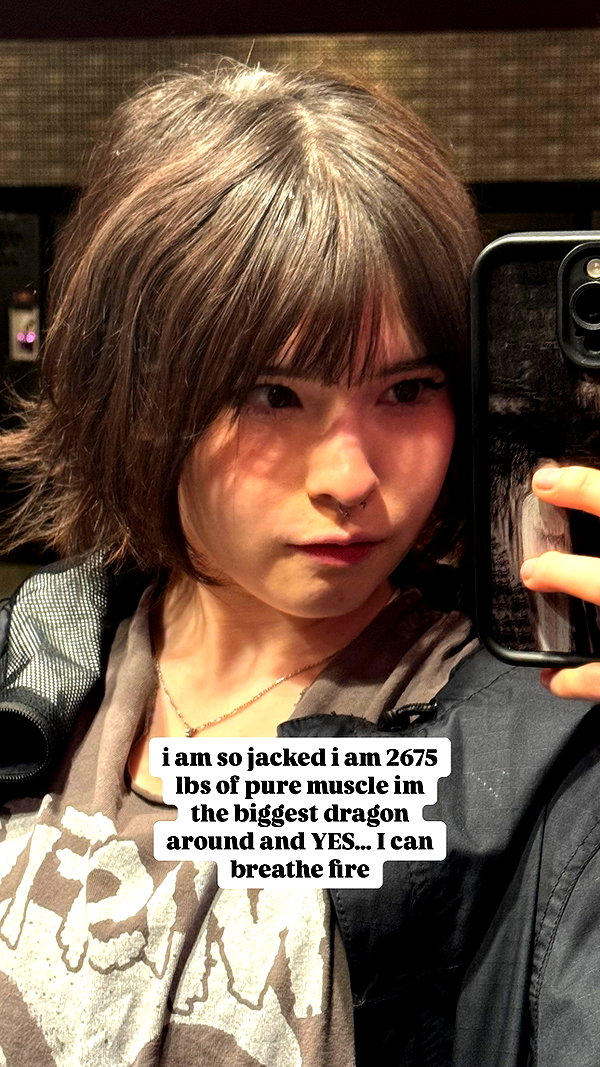 lilyraedolls instagram image archive image
