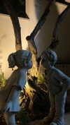 linraimoch Altpins Profile Picture
