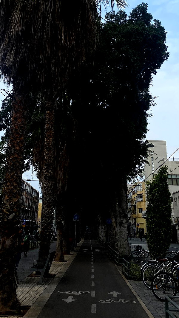 linraimoch instagram image archive image