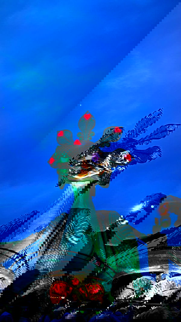 lissi77 lissi77 archive image