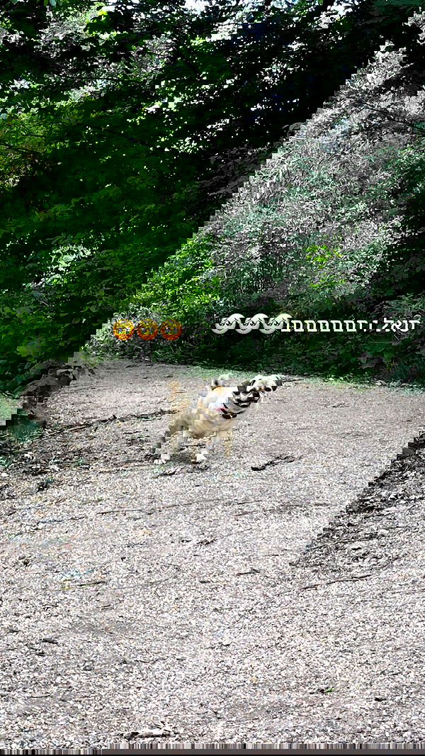 lissi77 lissi77 archive image