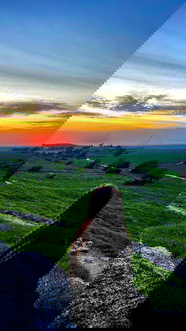 lissi77 lissi77 archive image