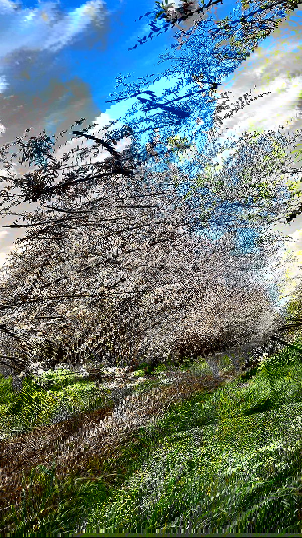 lissi77 lissi77 archive image