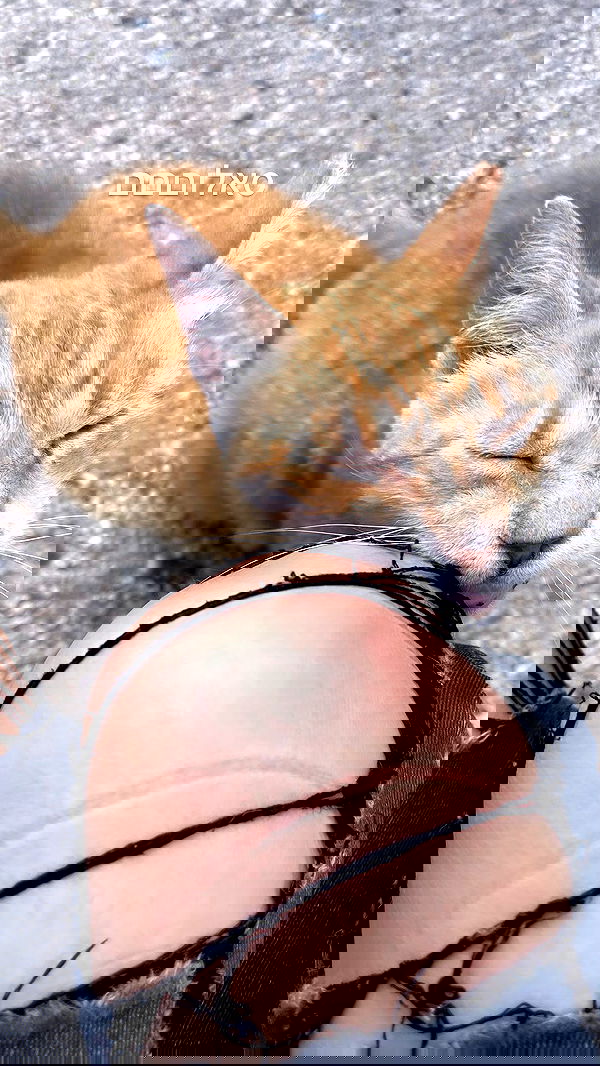 lissi77 lissi77 archive image