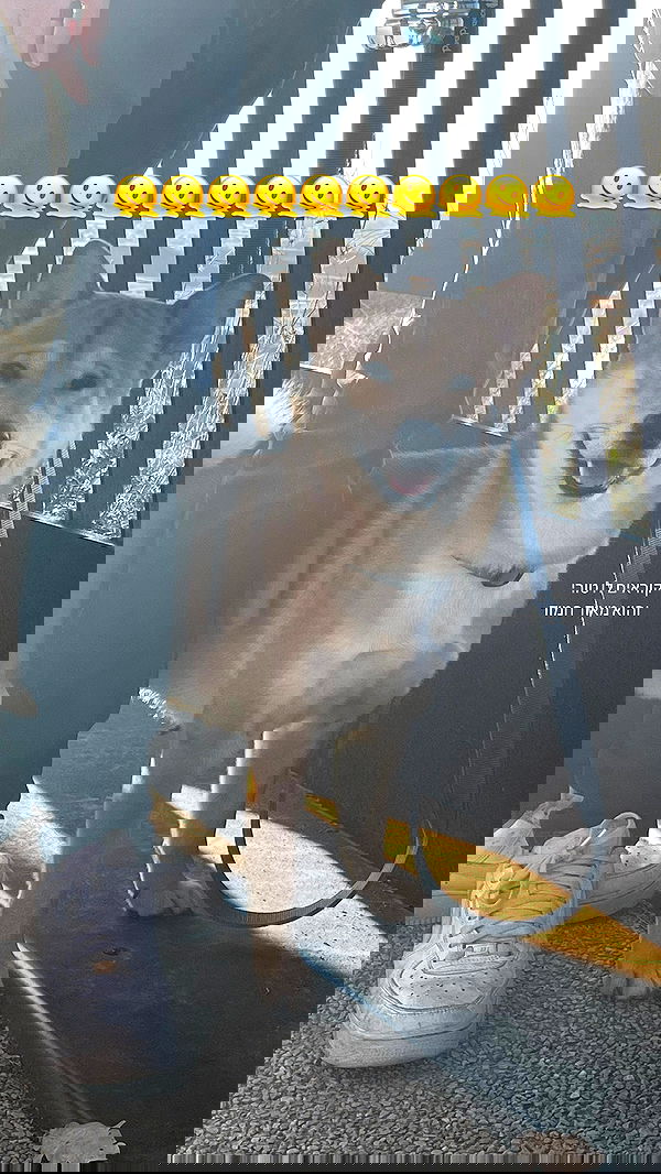 lissi77 lissi77 archive image