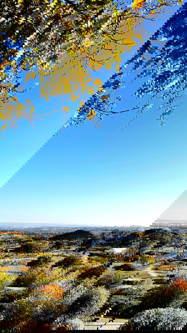 lissi77 lissi77 archive image