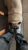 lisush_9 Altpins Profile Picture