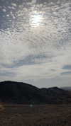 lisush_9 Altpins Profile Picture