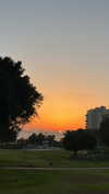 lisush_9 Altpins Profile Picture