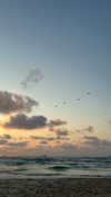 lisush_9 Altpins Profile Picture