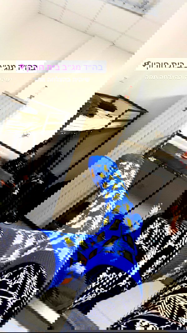 lital.shli lital.shli archive image