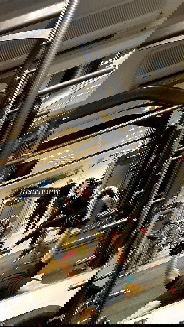 lital.shli lital.shli archive image