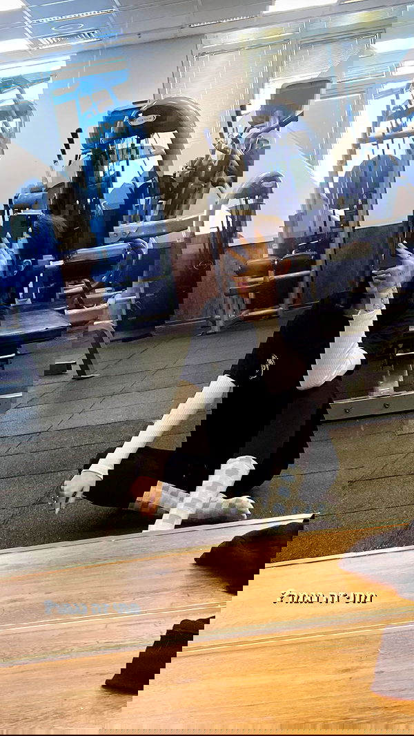 lital.shli lital.shli archive image